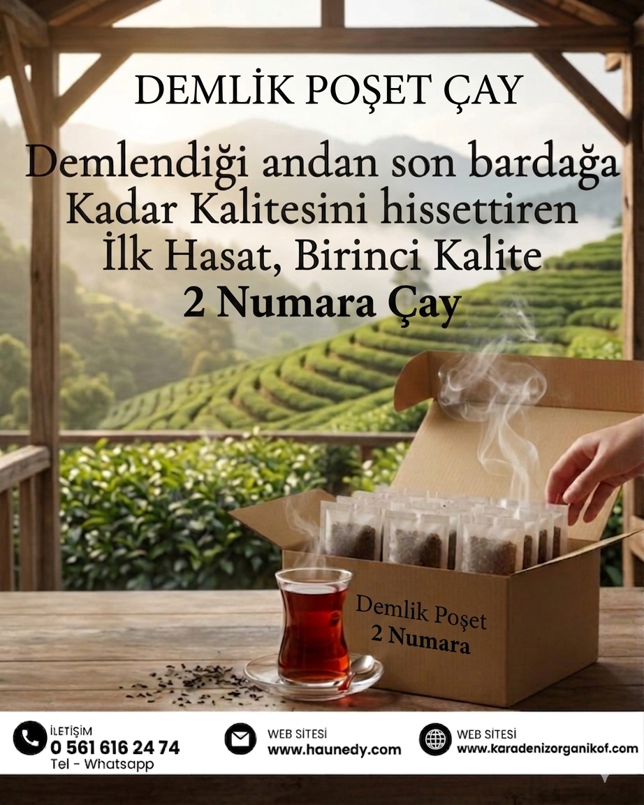 Mutfaktaki Gizli Kahraman: Demlik Poşet Çay Rehberi