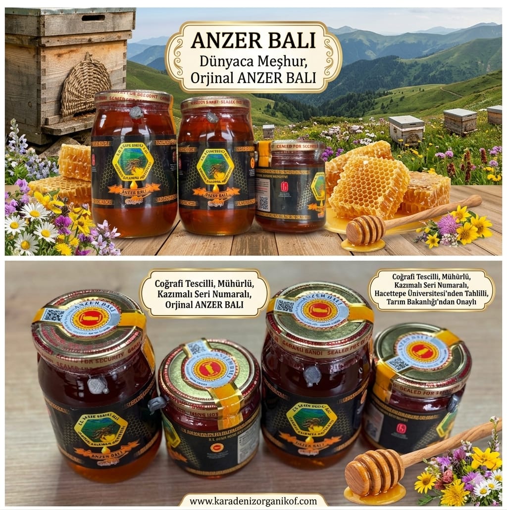 Anzer Balı Nereden Alınır? Güvenilir Kooperatifler ve Resmi Satış Noktaları