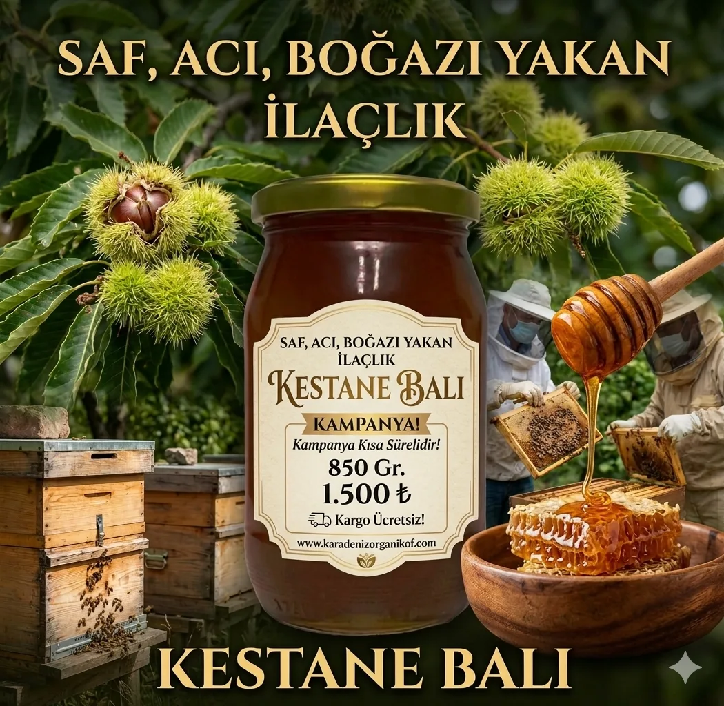 Kestane Balı 850 Gr