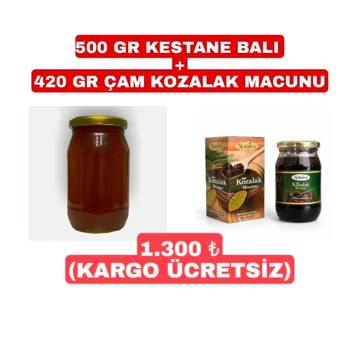 KESTENA BALI 500 GR Artı ÇAM KOZALAK MACUNU